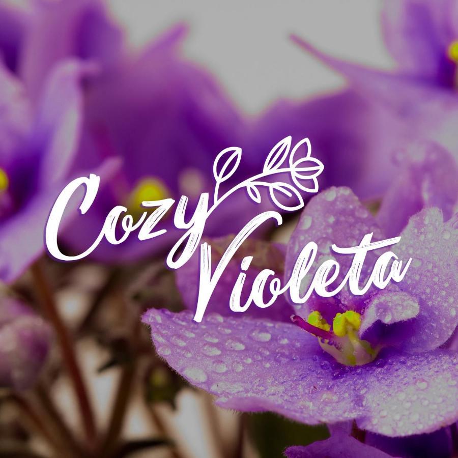 Cozy Violeta Lejlighed Lalyssos Eksteriør billede